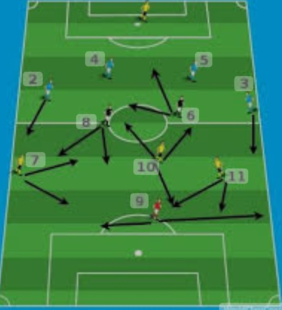 دورة محلل رياضي - المستوى الأول Sport Analist - Level 1